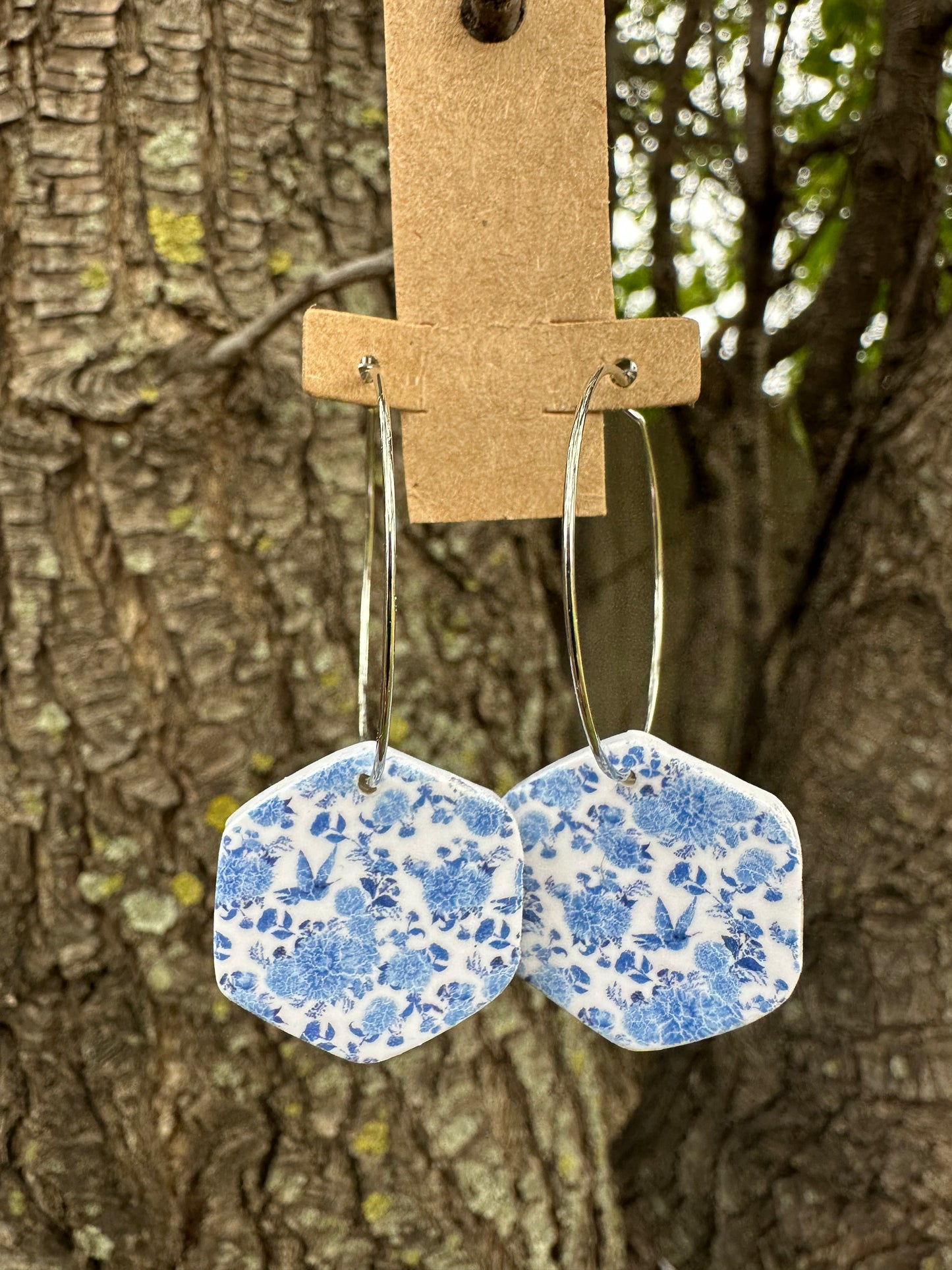 Blue and White Hexagons